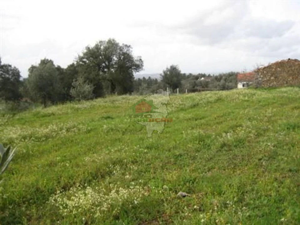 Terreno para Venda em Vila de Rei Foto 3