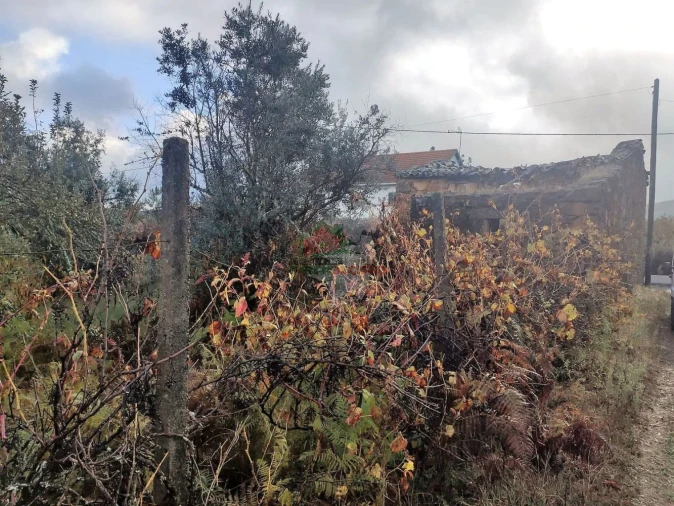 Quinta T1 para Venda em Pedrogão Pequeno Foto 9