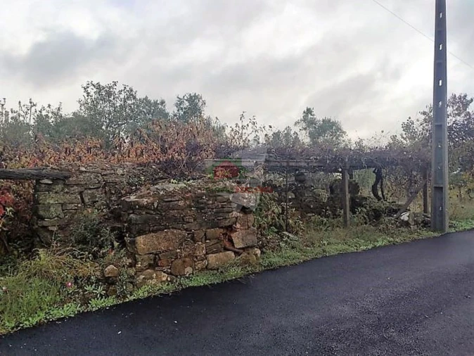 Quinta T1 para Venda em Pedrogão Pequeno Foto 11