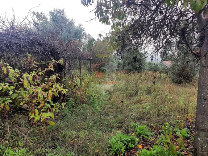 Quinta T1 para Venda em Pedrogão Pequeno Foto 10