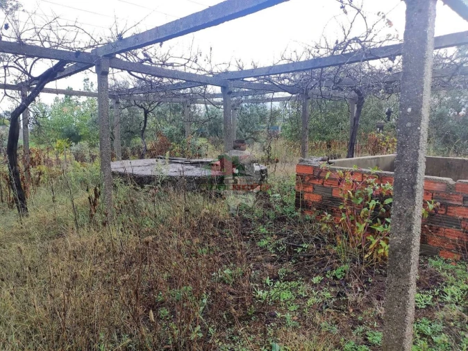 Quinta T1 para Venda em Pedrogão Pequeno Foto 8