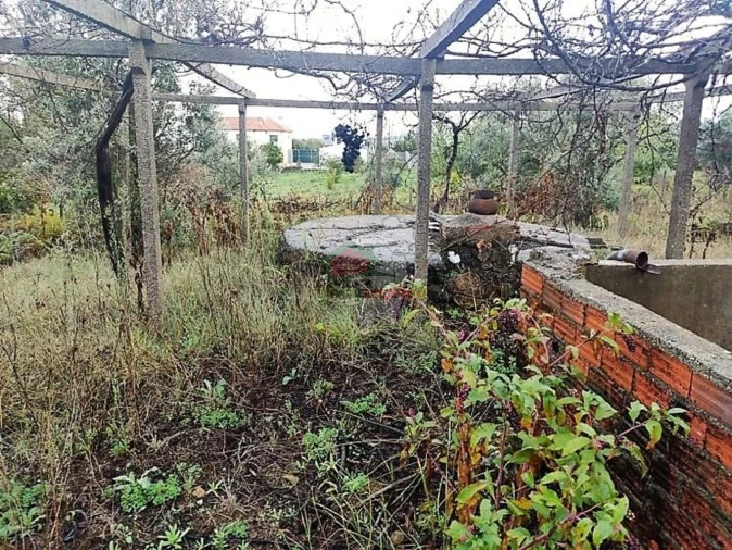 Quinta T1 para Venda em Pedrogão Pequeno Foto 6