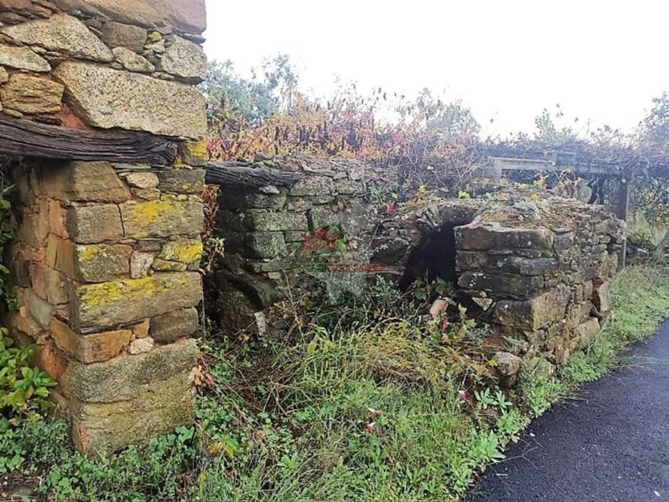 Quinta T1 para Venda em Pedrogão Pequeno Foto 3