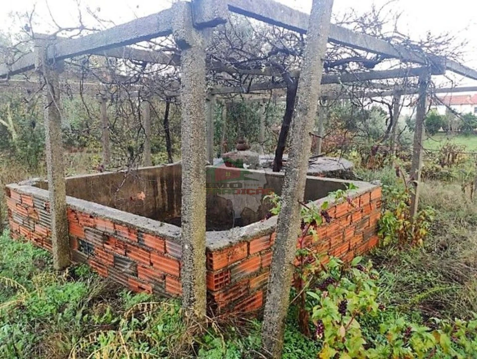 Quinta T1 para Venda em Pedrogão Pequeno Foto 7