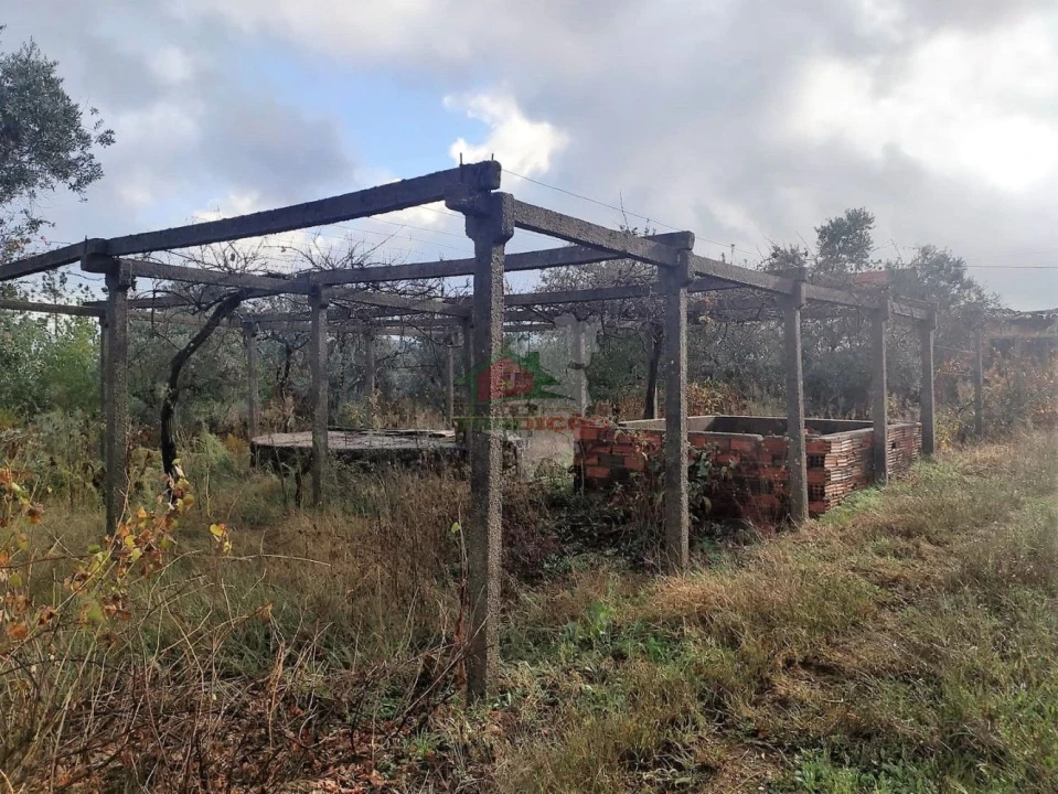 Quinta T1 para Venda em Pedrogão Pequeno Foto 5
