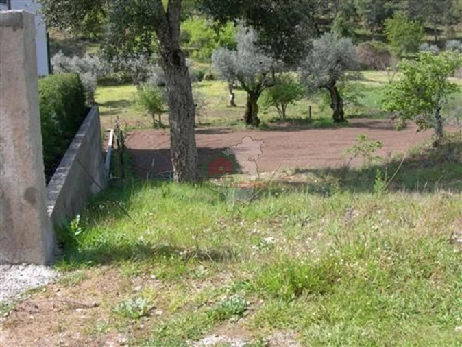 Terreno para Venda em Sertã Foto 4