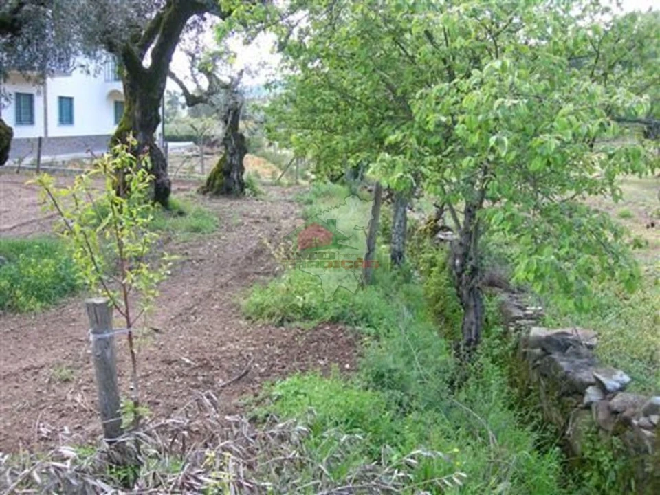Terreno para Venda em Sertã Foto 3