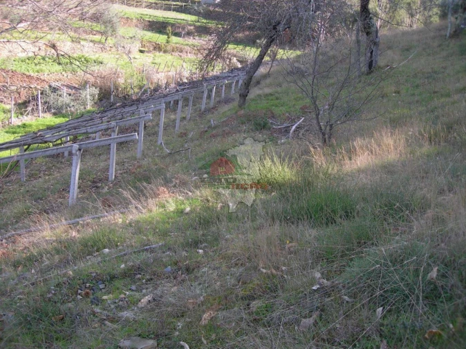 Terreno para Venda em Troviscal Foto 5