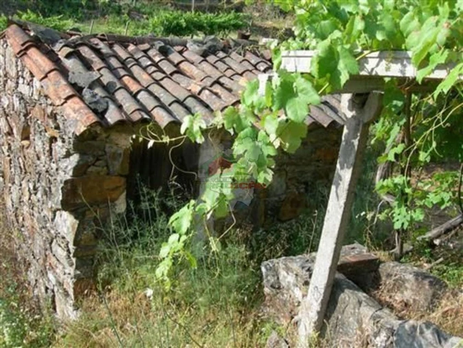 Terreno para Venda em Troviscal Foto 4