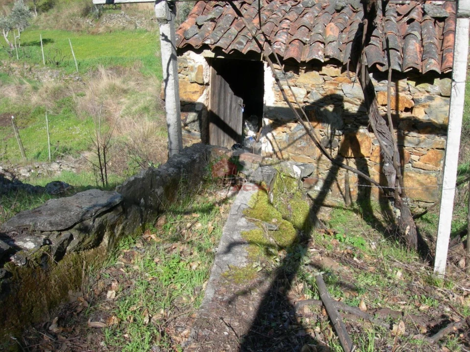 Terreno para Venda em Troviscal Foto 2