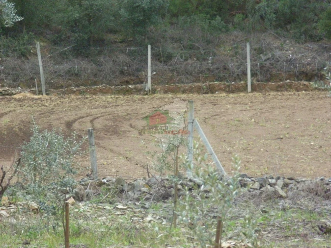 Terreno para Venda em Cernache do Bonjardim, Nesperal e Palhais Foto 9