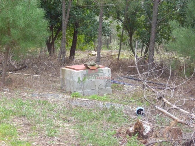 Terreno para Venda em Cernache do Bonjardim, Nesperal e Palhais Foto 5