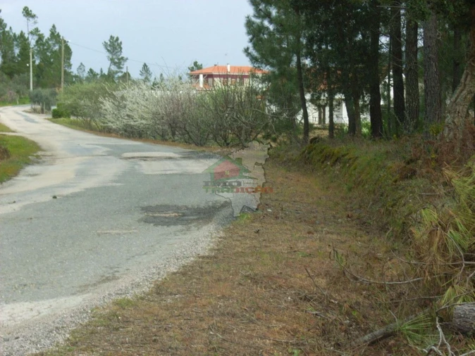 Terreno para Venda em Cernache do Bonjardim, Nesperal e Palhais Foto 7