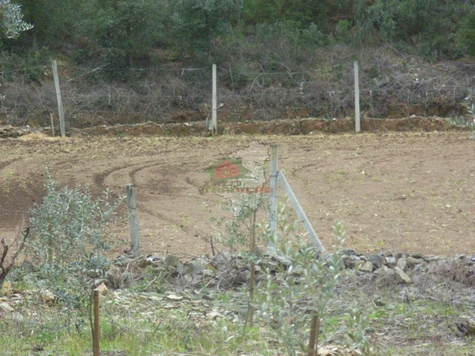 Terreno para Venda em Cernache do Bonjardim, Nesperal e Palhais Foto 9