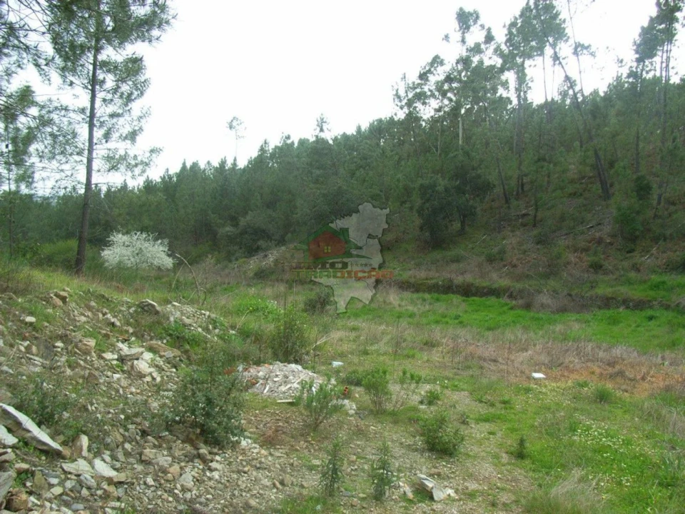 Terreno para Venda em Cernache do Bonjardim, Nesperal e Palhais Foto 3