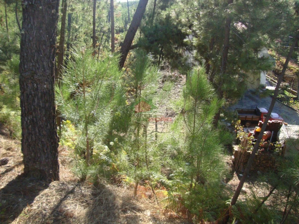 Terreno para Venda em Troviscal Foto 3