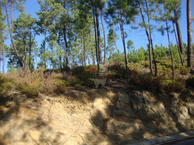 Terreno para Venda em Troviscal