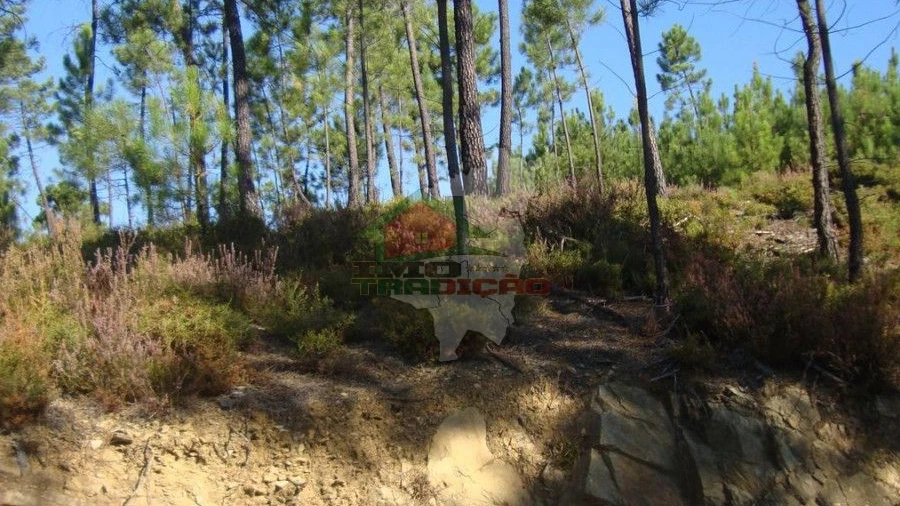 Terreno para Venda em Troviscal