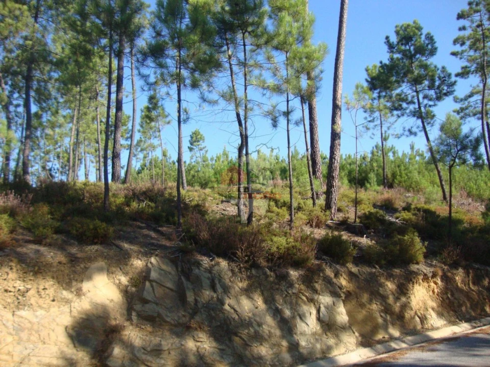Terreno para Venda em Troviscal Foto 2