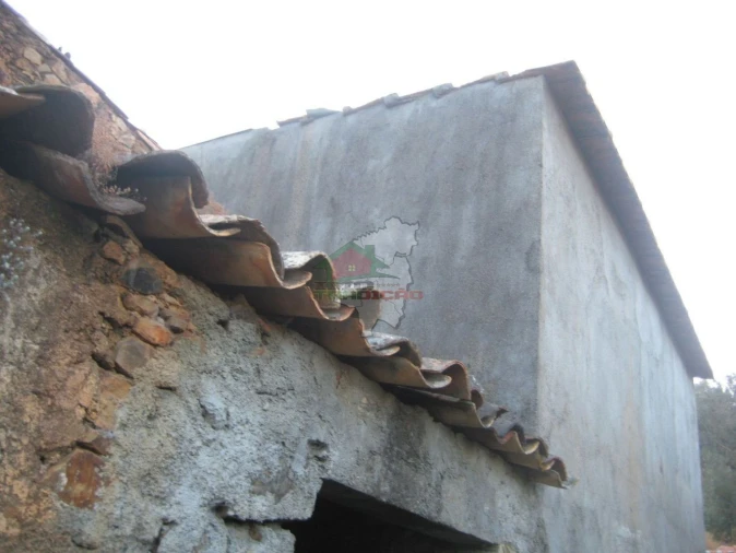 Moradia T1 para Venda em Cernache do Bonjardim, Nesperal e Palhais Foto 3