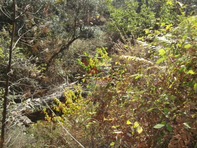 Terreno para Venda em Troviscal Foto 10