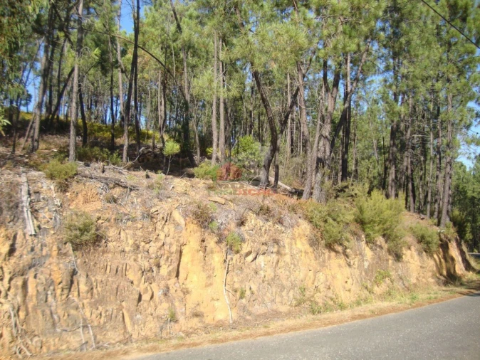 Terreno para Venda em Troviscal Foto 2