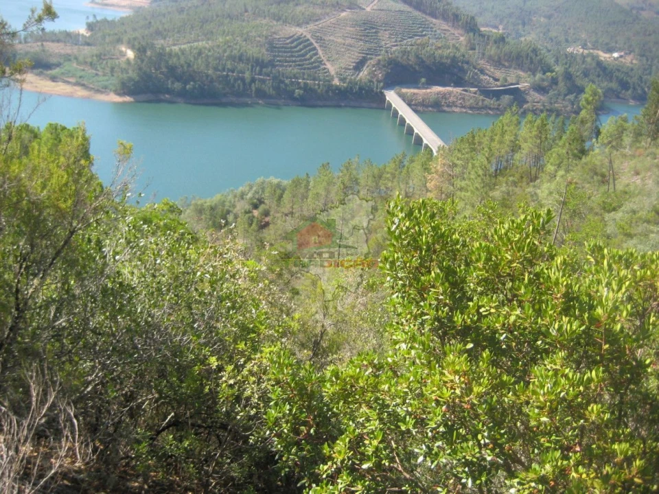 Terreno para Venda em Cernache do Bonjardim, Nesperal e Palhais Foto 3