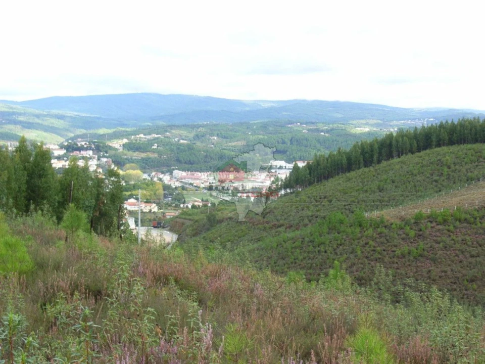 Terreno para Venda em Cumeada e Marmeleiro Foto 8