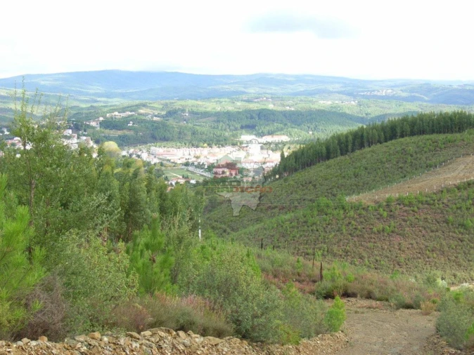 Terreno para Venda em Cumeada e Marmeleiro Foto 2