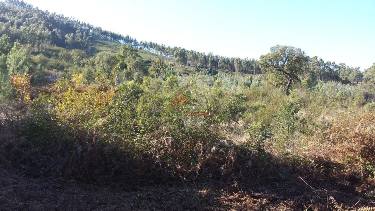 Terreno para Venda em Cardigos Foto 3