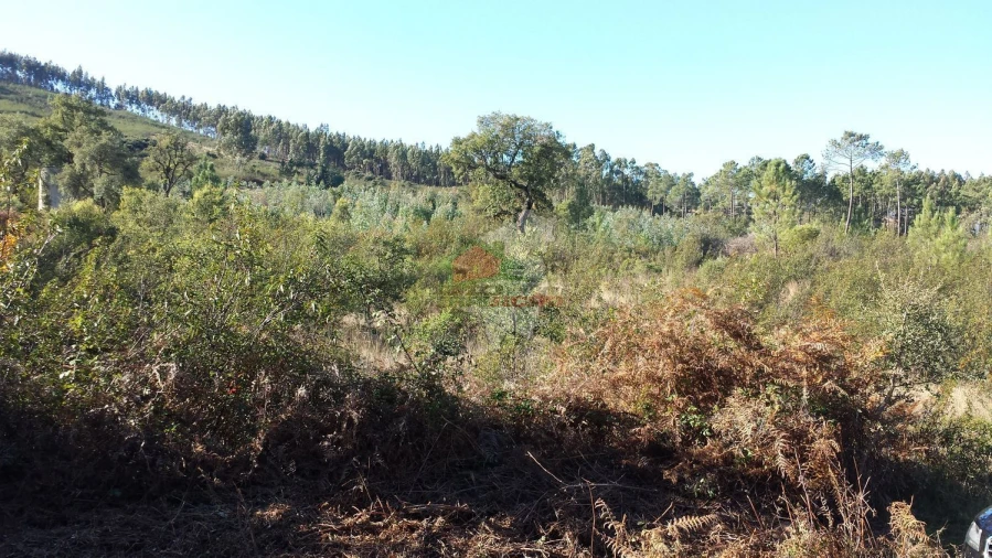Terreno para Venda em Cardigos Foto 4