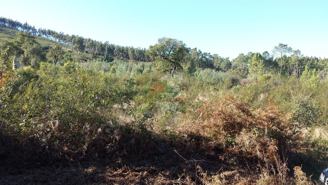 Terreno para Venda em Cardigos Foto 4