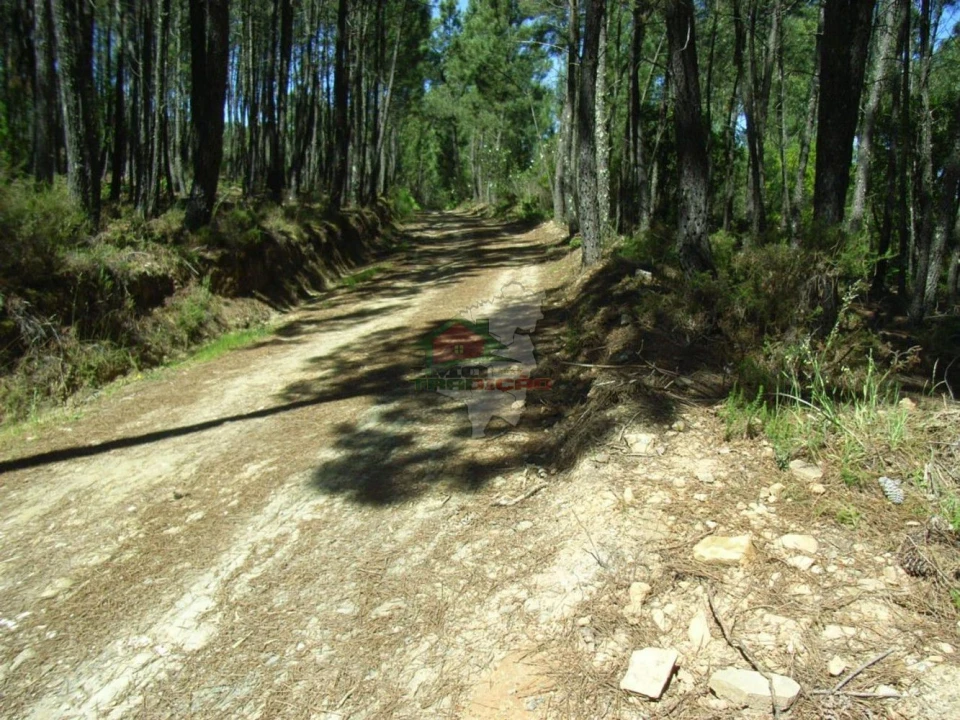 Terreno para Venda em Sertã Foto 5