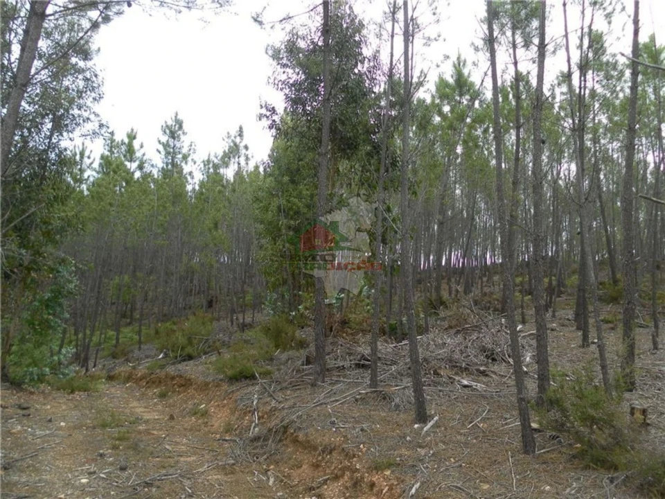 Terreno para Venda em Oleiros-Amieira Foto 1