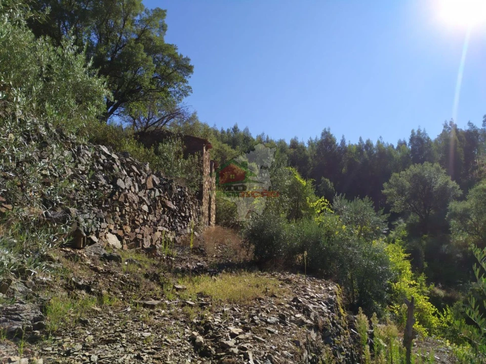 Terreno para Venda em Alvaro Foto 1