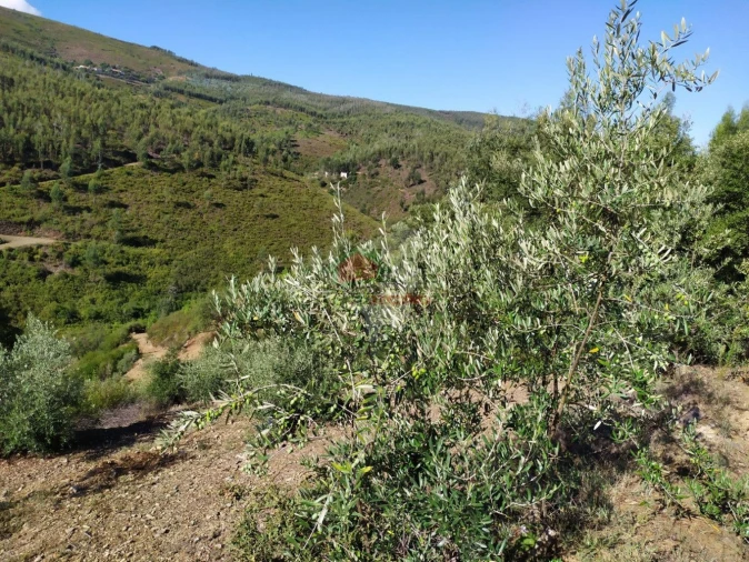Terreno para Venda em Alvaro Foto 13
