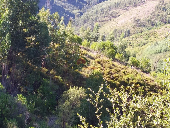 Terreno para Venda em Alvaro Foto 9