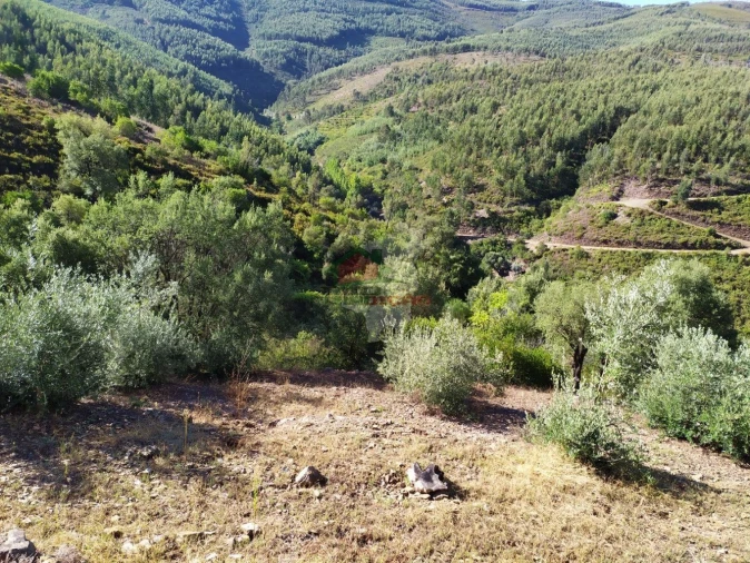 Terreno para Venda em Alvaro Foto 5