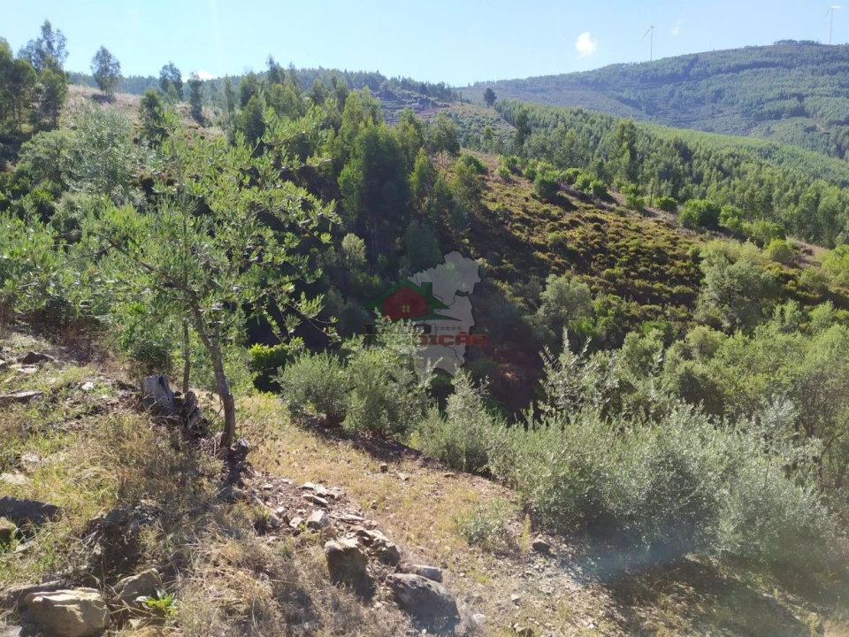 Terreno para Venda em Alvaro Foto 11