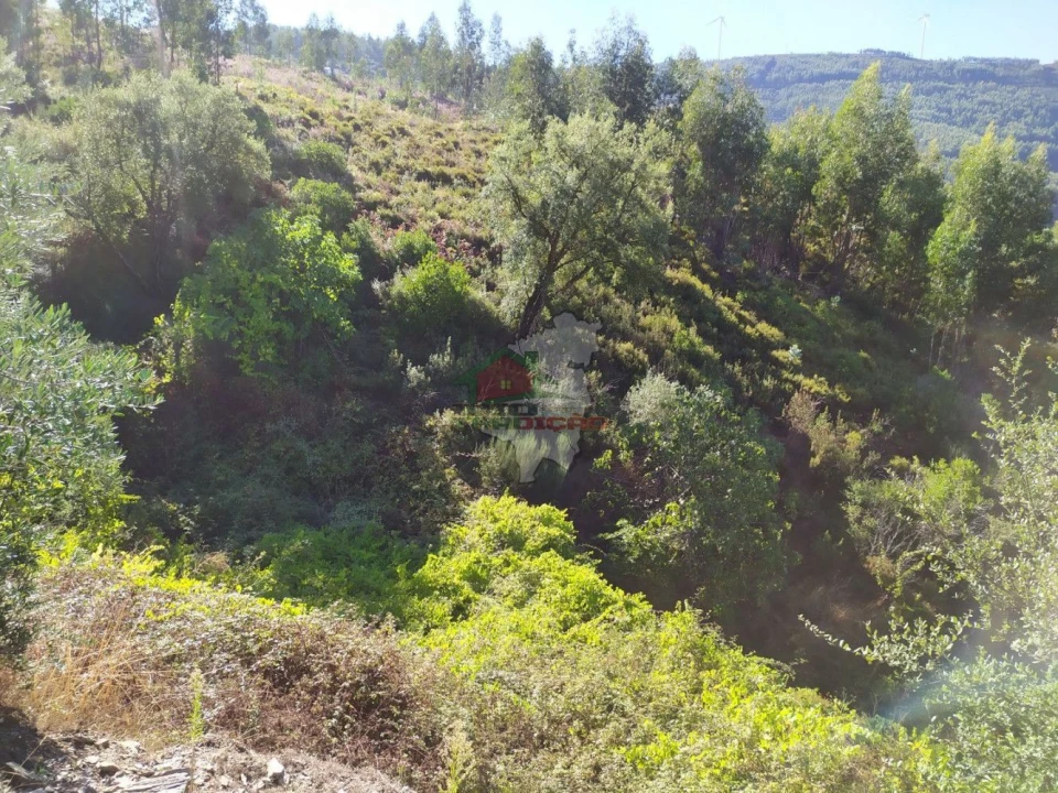Terreno para Venda em Alvaro Foto 8