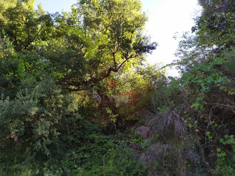 Terreno para Venda em Alvaro Foto 17