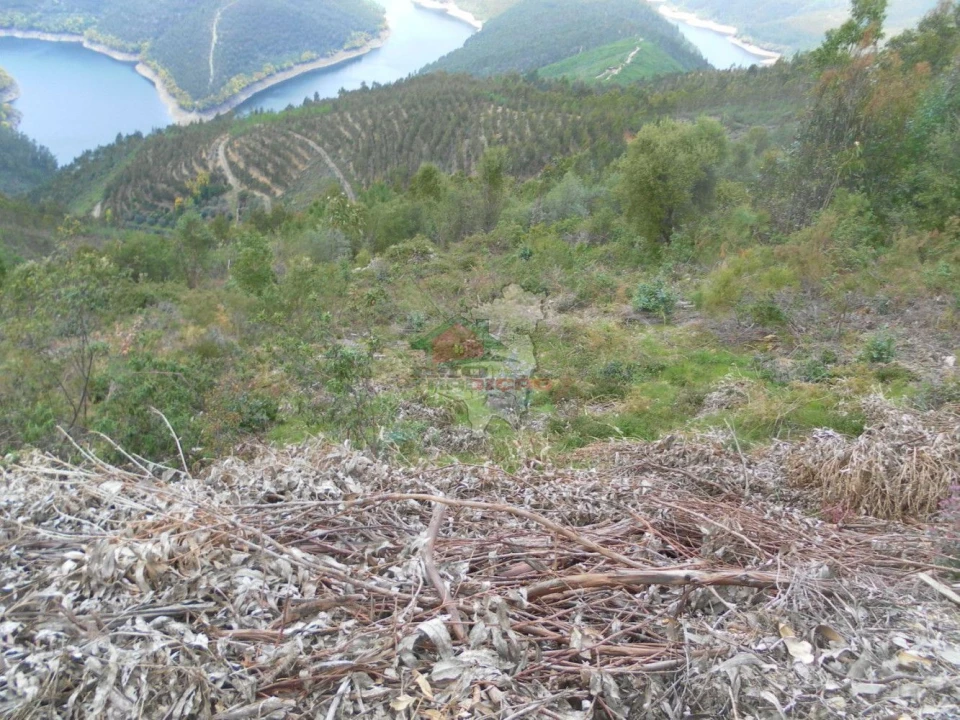 Terreno para Venda em Alvaro Foto 4