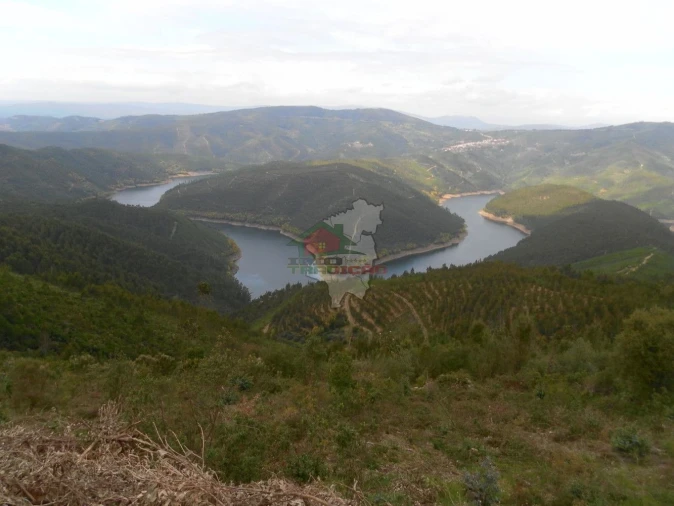 Terreno para Venda em Alvaro Foto 1