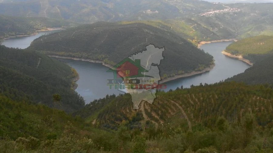 Terreno para Venda em Alvaro