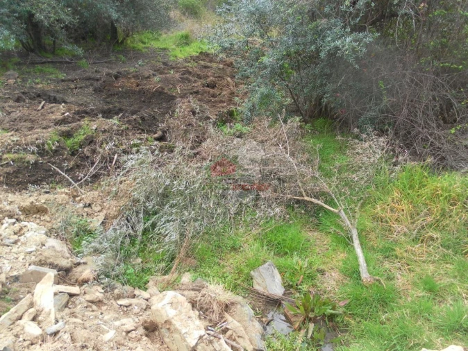 Terreno para Venda em Estreito-Vilar Barroco Foto 4