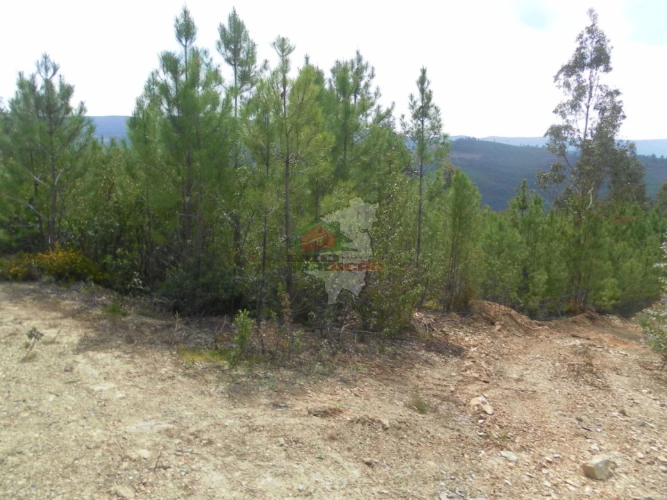 Terreno para Venda em Alvaro Foto 12