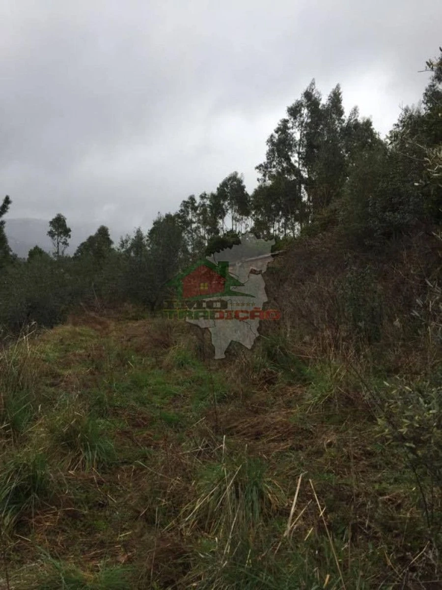 Terreno para Venda em Alvaro Foto 4