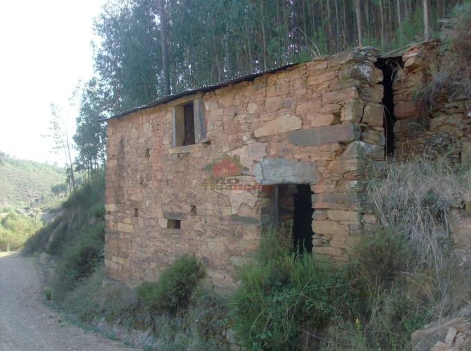 Terreno para Venda em Troviscal Foto 1