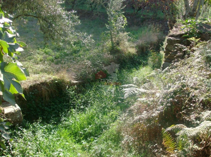 Terreno para Venda em Troviscal Foto 7