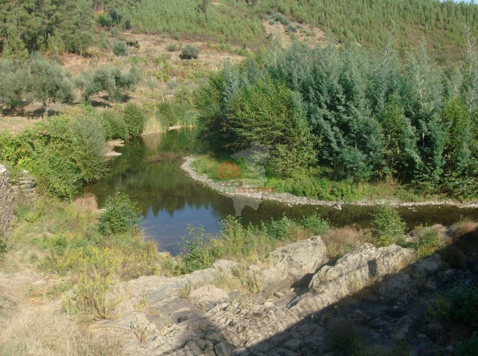 Terreno para Venda em Troviscal Foto 6